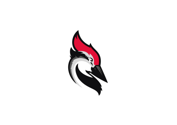 Geometric Woodpecker Logo by Lucian Radu on Dribbble