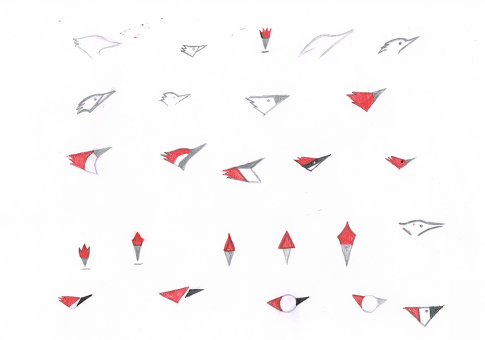 woodpecker-sygnet-sketches1