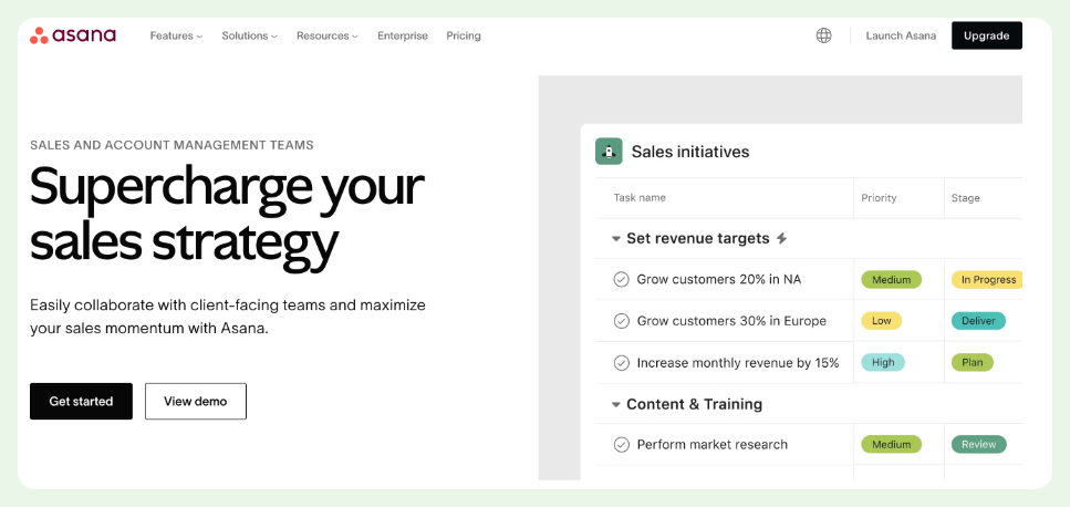 screenshot showing asana revenue operations homepage